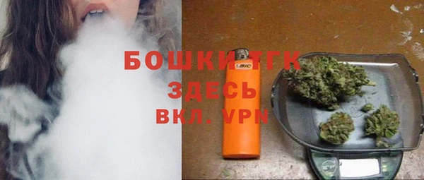 тгк Новозыбков