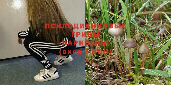 винт Алзамай