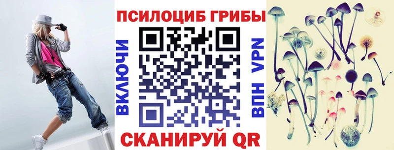 Галлюциногенные грибы Psilocybine cubensis  Палласовка 